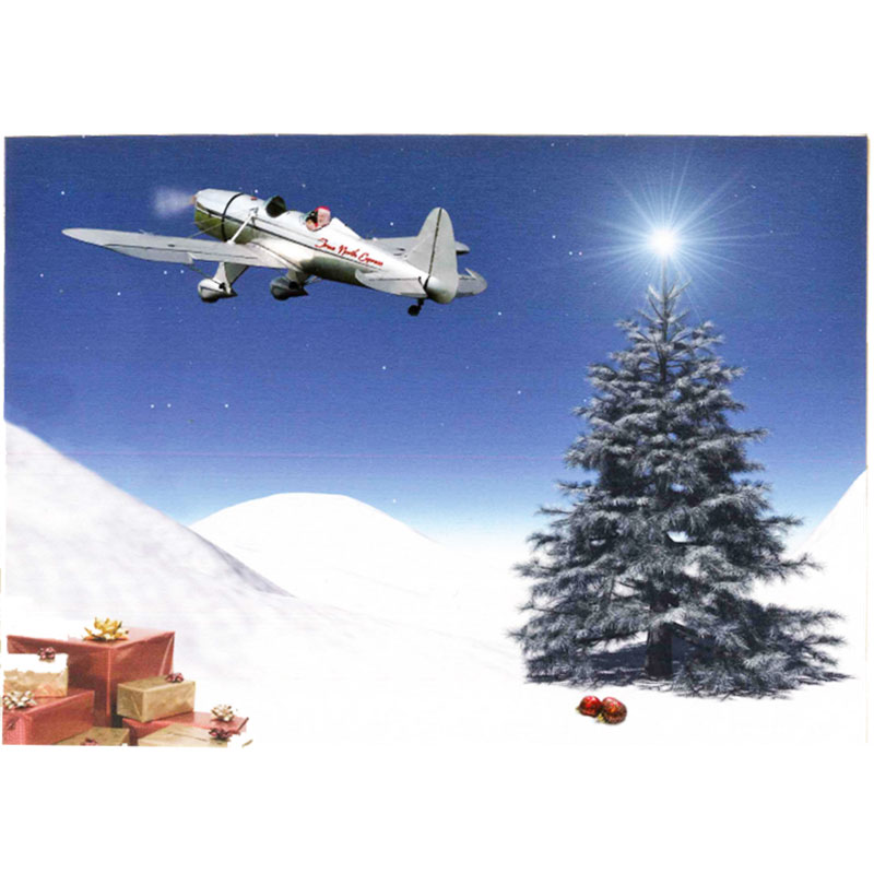 True North Winter Greeting Cards 12 Pack Aircraft Spruce